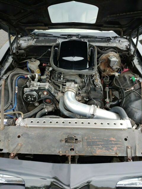 1980 Pontiac Firebird - photo 10