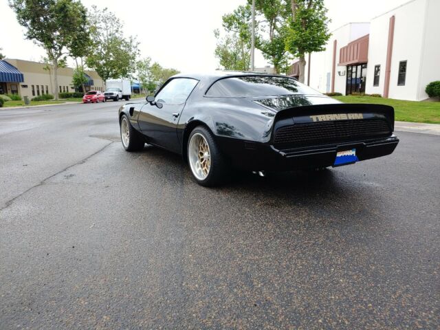 1980 Pontiac Firebird - photo 3