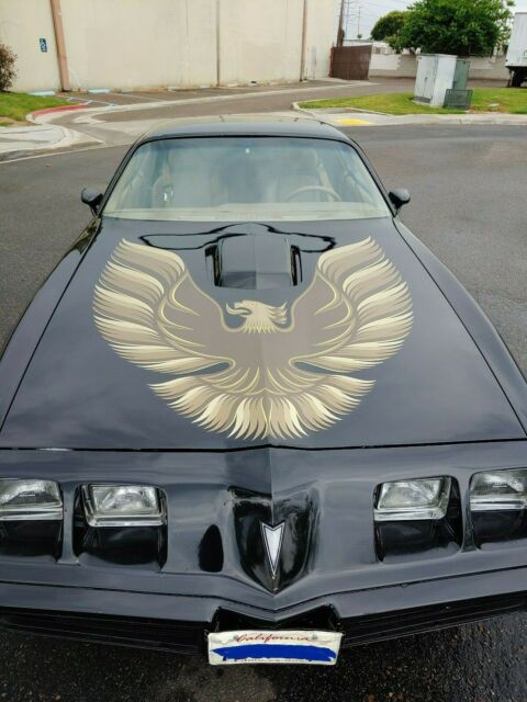 1980 Pontiac Firebird - photo 5