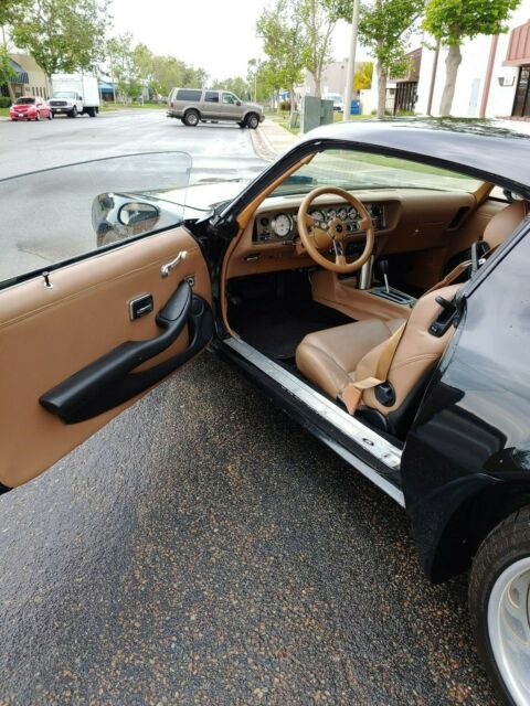 1980 Pontiac Firebird - photo 6