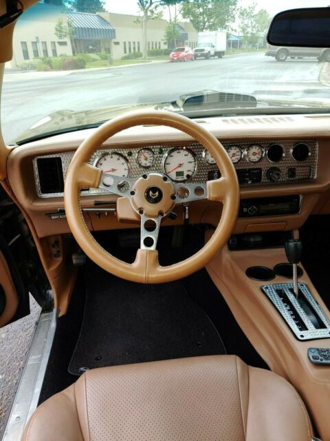 1980 Pontiac Firebird - photo 7
