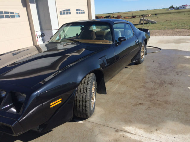 1980 Pontiac Trans Am SE