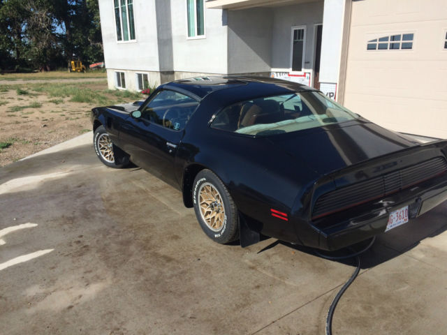 1980 Pontiac Trans Am SE - photo 2