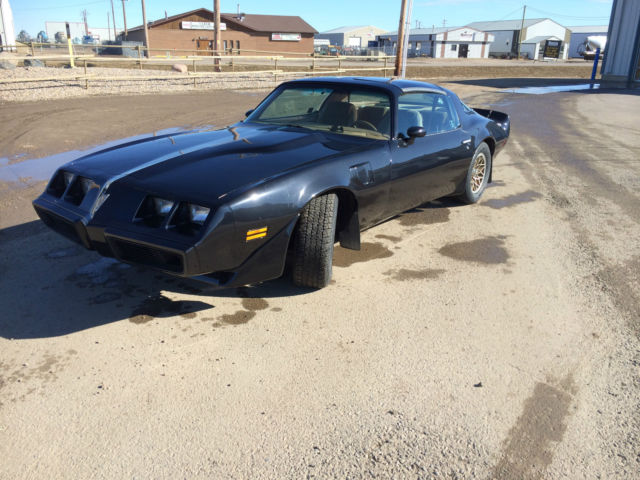 1980 Pontiac Trans Am SE - photo 8