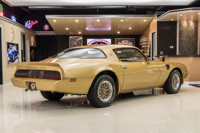 1979 Pontiac Firebird Trans Am - photo 11