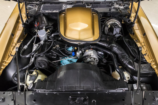 1979 Pontiac Firebird Trans Am - photo 3