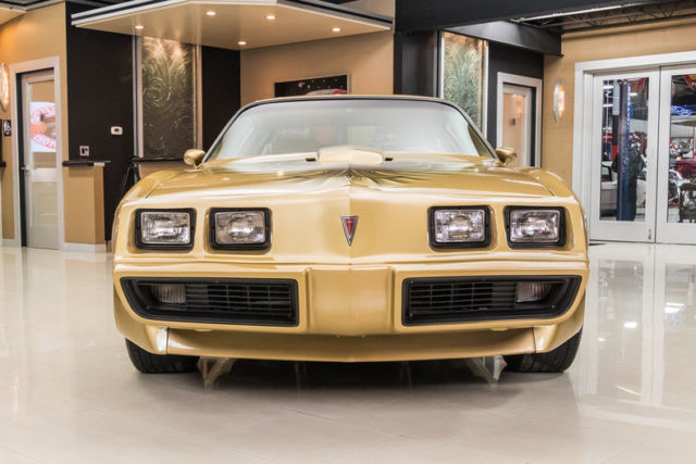 1979 Pontiac Firebird Trans Am - photo 6