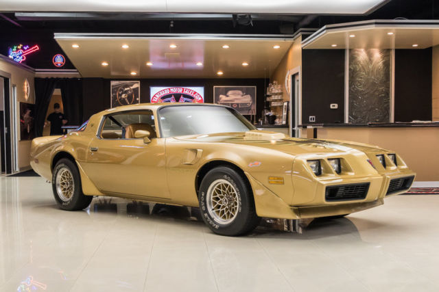 1979 Pontiac Firebird Trans Am - photo 8