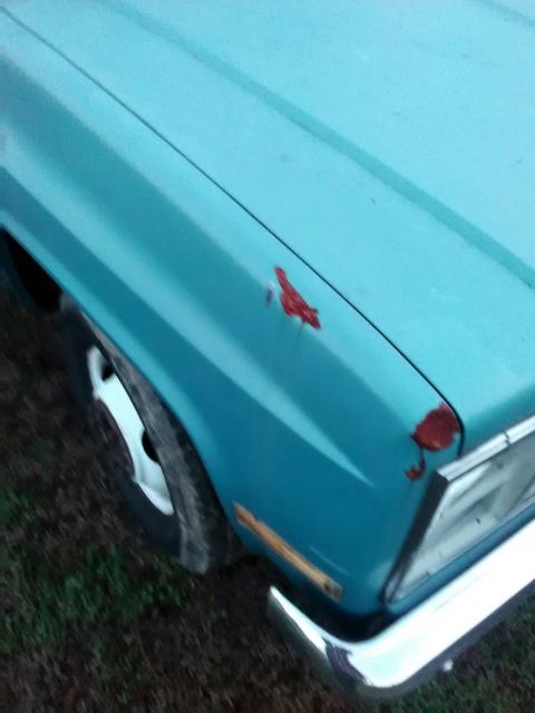 1985 Chevrolet Other Pickups - photo 3