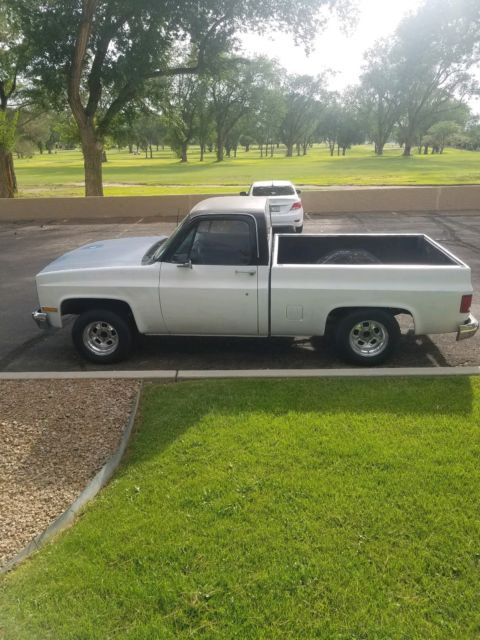 1981 GMC Sierra 1500 - photo 2