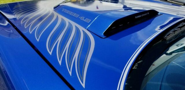 1981 Pontiac Trans Am - photo 10