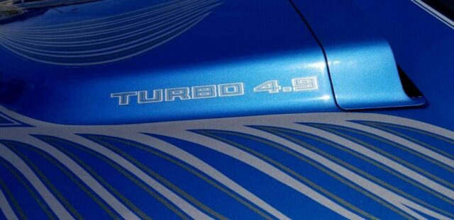 1981 Pontiac Trans Am - photo 11