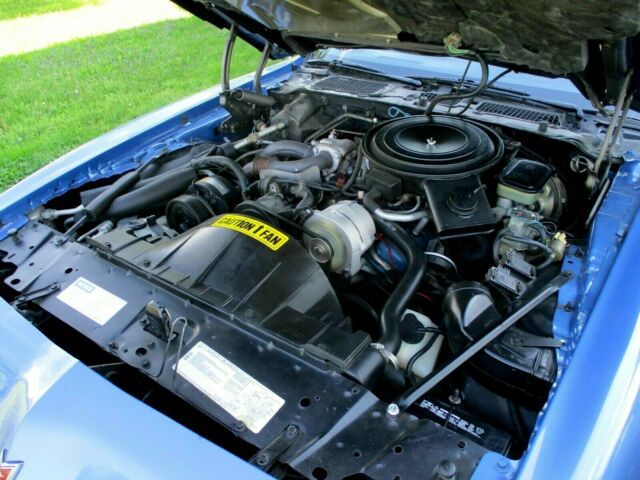 1981 Pontiac Trans Am - photo 12