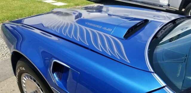 1981 Pontiac Trans Am - photo 4