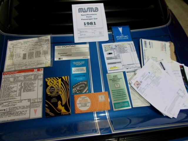 1981 Pontiac Trans Am - photo 5