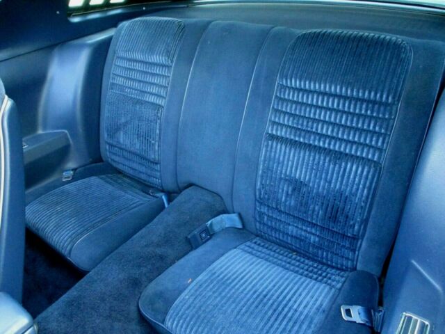 1981 Pontiac Trans Am - photo 8