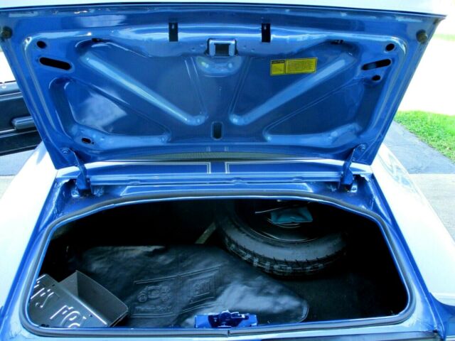 1981 Pontiac Trans Am - photo 9