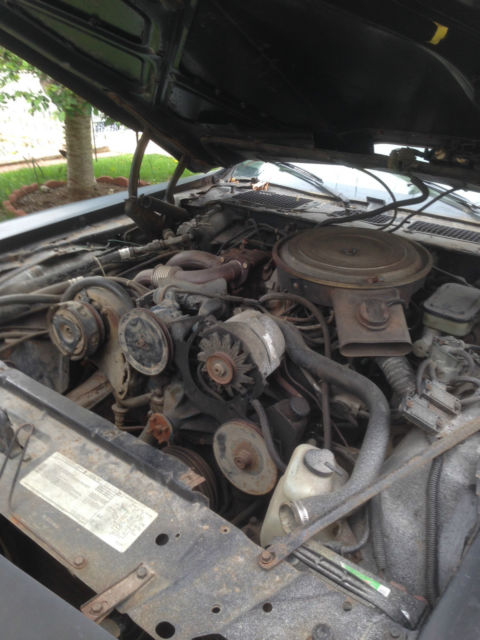 1981 Pontiac Trans Am Trans Am - photo 13