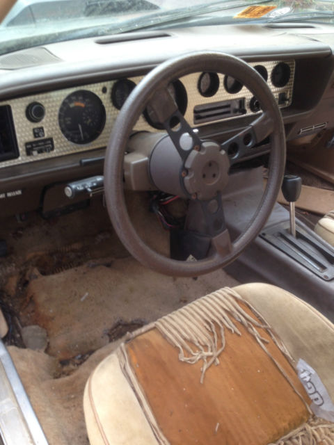 1981 Pontiac Trans Am Trans Am - photo 7