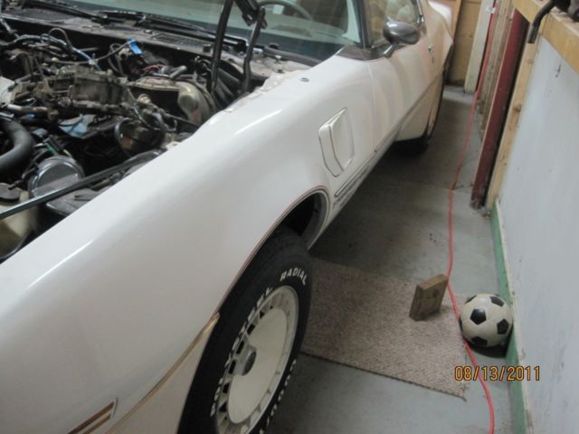 1980 Pontiac Trans Am - photo 7