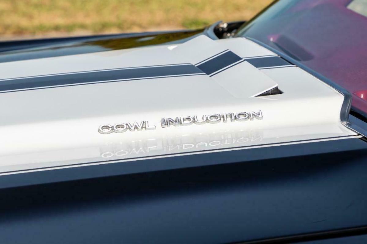 1970 Chevrolet Chevelle SS - photo 5