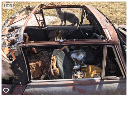 1965 Renault Other - photo 5