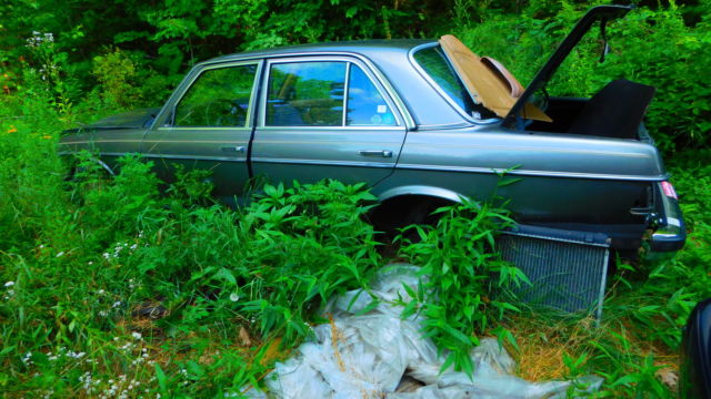 1984 Mercedes-Benz 300-Series - photo 11