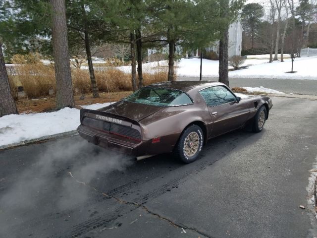 1979 Pontiac Trans Am ws4 - photo 4
