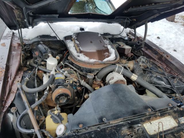 1979 Pontiac Trans Am ws4 - photo 9