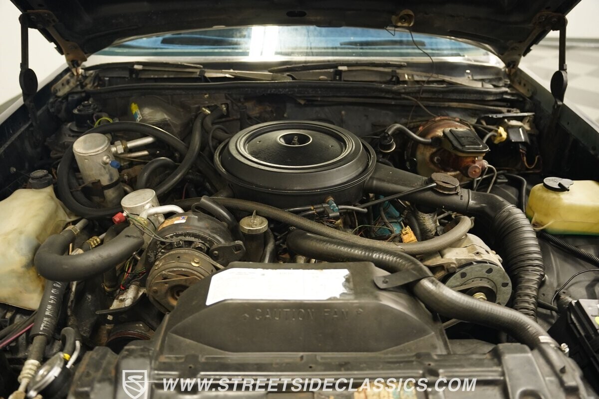 1981 Oldsmobile Cutlass - photo 4