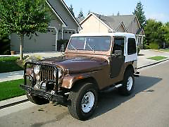 1976 Jeep CJ CJ5 - photo 5