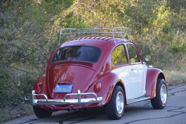 1966 Volkswagen Beetle - Classic Beautiful Bug - Lots of New Parts - NO RESERVE - photo 3