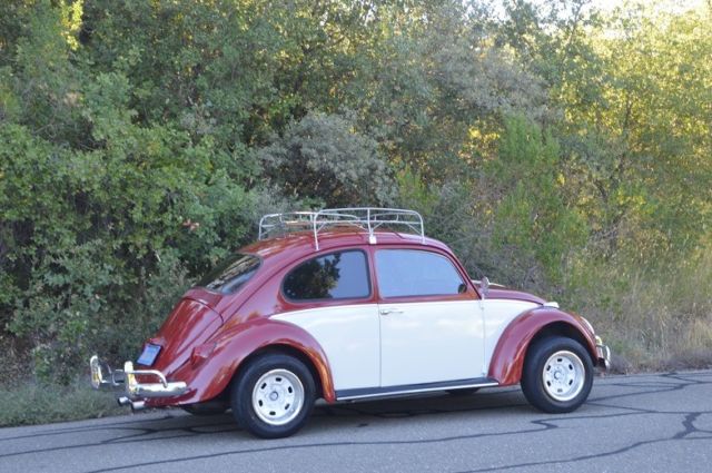 1966 Volkswagen Beetle - Classic Beautiful Bug - Lots of New Parts - NO RESERVE - photo 5