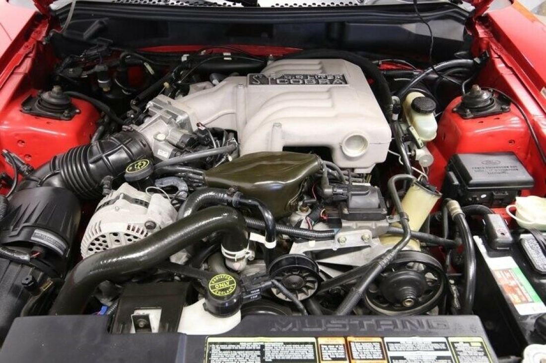 1994 Ford Mustang SVT Cobra Indy 500 Pace Car Edition - photo 4