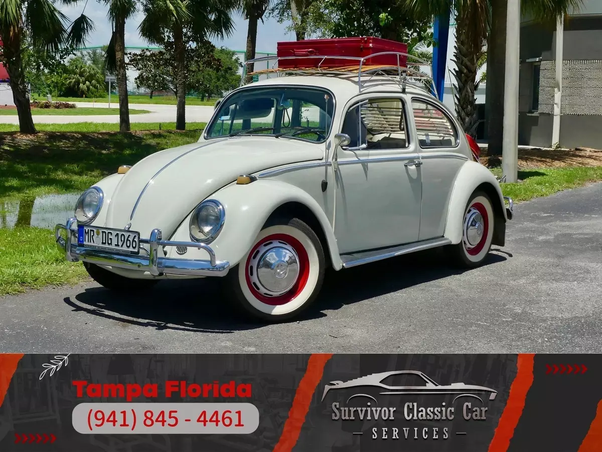 1966 Volkswagen Beetle Pigalle