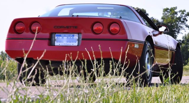 1985 Chevrolet Corvette Base Hatchback 2-Door - photo 5