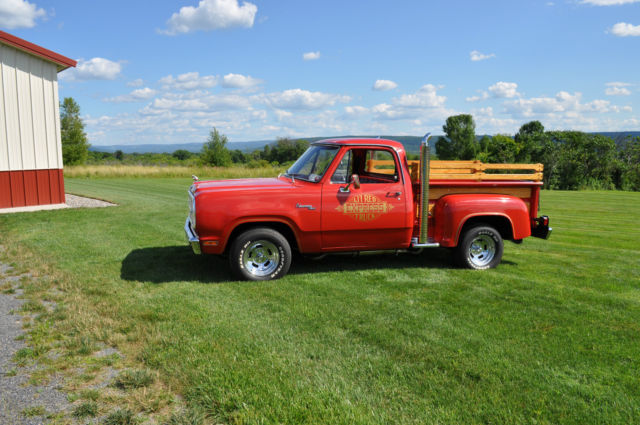 1979 Dodge Other Pickups D 150 Adventurer - photo 8