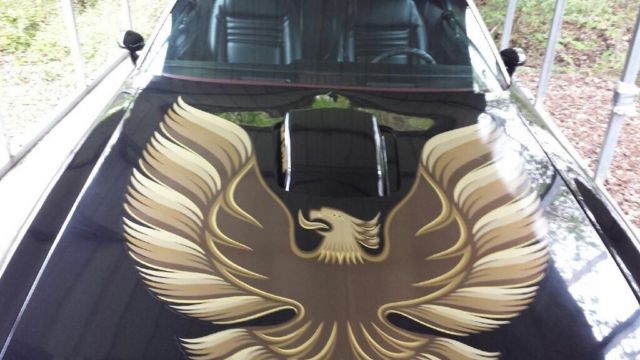 1979 Pontiac Trans Am New Paint/Decals - photo 3