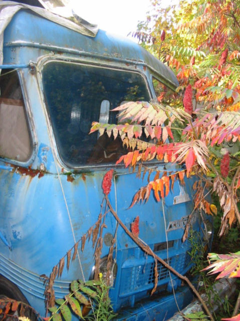 1964 Other Makes - photo 4