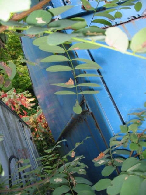 1964 Other Makes - photo 5