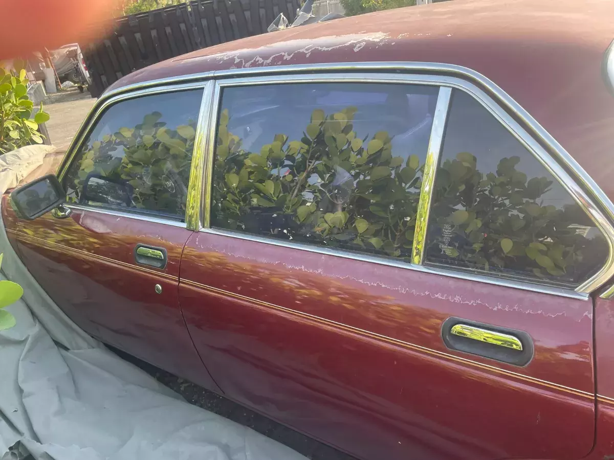 1985 Jaguar XJ6