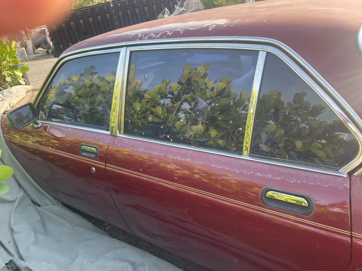 1985 Jaguar XJ6 - photo 13