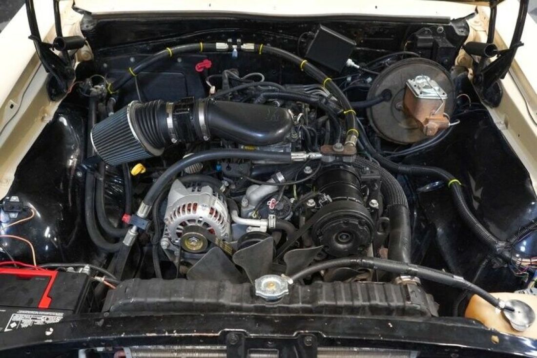 1967 Chevrolet Chevelle 300 Deluxe - photo 4