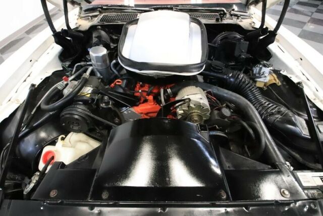 1978 Pontiac Firebird Trans Am - photo 4