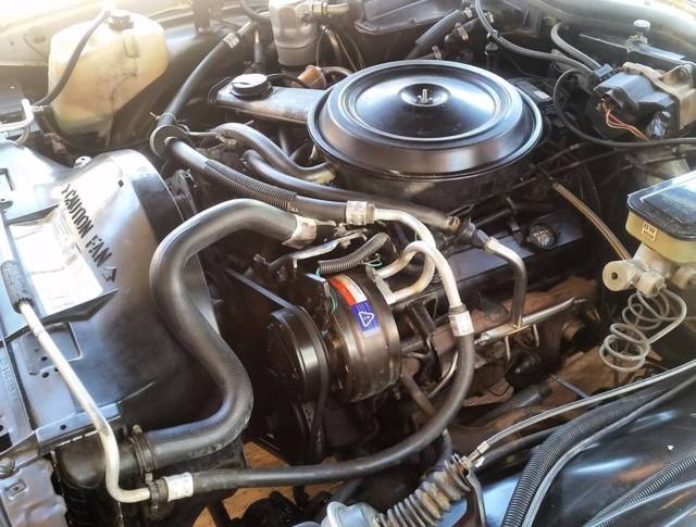 1984 Chevrolet Caprice - photo 13
