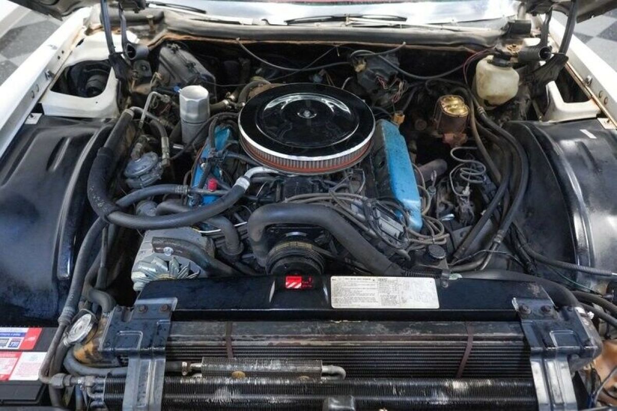 1978 Cadillac Eldorado Biarritz - photo 4