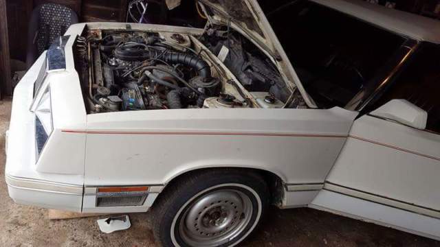 1982 Chrysler LeBaron - photo 7
