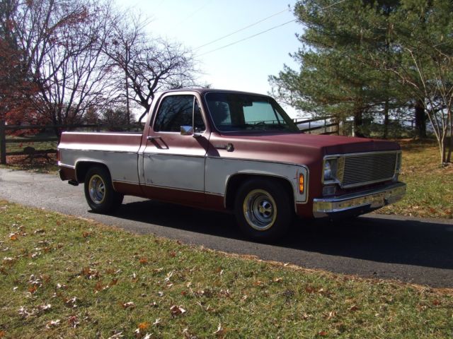 1979 Chevrolet C-10 - photo 6