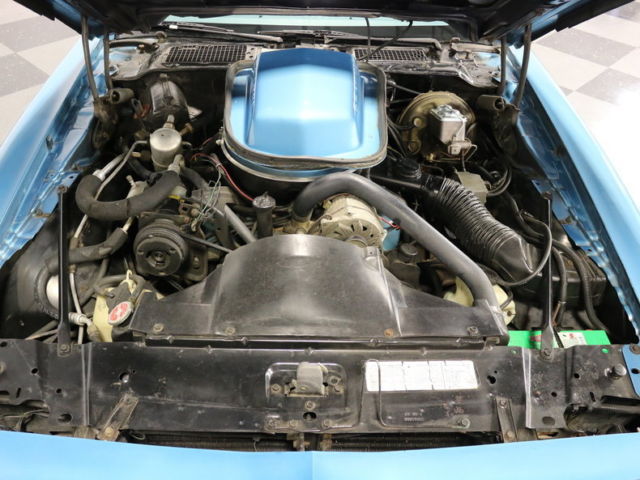 1979 Pontiac Firebird Trans Am - photo 4