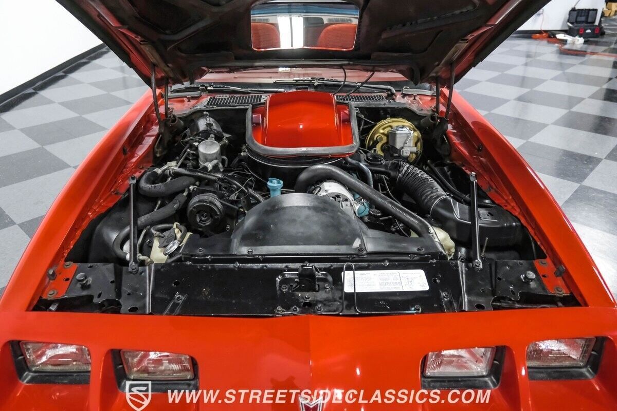1979 Pontiac Firebird Trans Am - photo 4